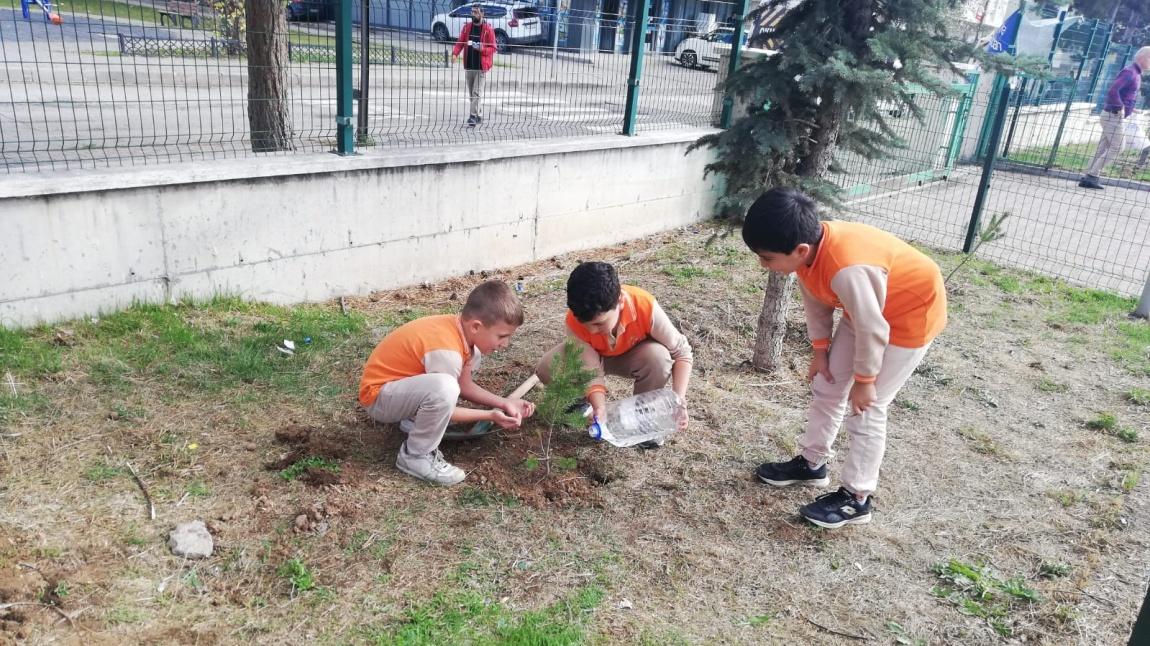 Öğrencilerimiz Okul Bahçemize Fidan Dikti
